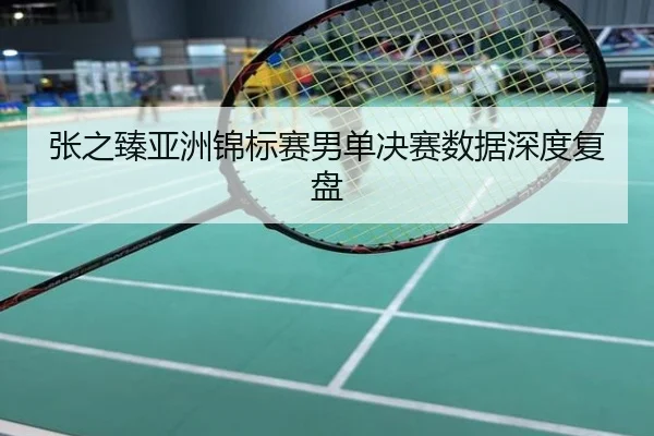 张之臻亚洲锦标赛男单决赛数据深度复盘